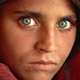 21.11.2013.�15.01.2014. �.-���������. �������� � ������ ������������ ������� National Geographic
