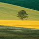 13.04.�20.05.2012. �.-���������. �������� ������ ������� 