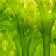 ����� ����� �� 05.03.2010. ������� Veolia Environnement Wildlife Photographer of the Year 2010