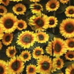 17.02.�20.05.2018. �.-���������. ��� �����. ��������-���������