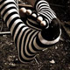 15.03.�20.03.2011. ������. �Digital Art: ���������� ������� ��������