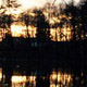 17.01.�19.02.2012. ������. ����� �����. ������ ��� �����