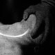 19.01.�27.01.2012. ����, �������. ���� ����. �������