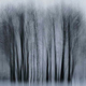 22.01.2014. �.-���������. ������ ����. �������������� �������� 