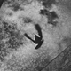21.03.2014. �.-���������. ������� � ���������� �������� ���������� 