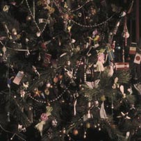 29.12.2011�28.01.2012. ������. �������� ����� ����������� � ��������� ����� ����������� ��� ���������� 