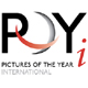 ����� ����� �� 31.05.2010. ������� POYi Emerging Vision Incentive