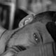 18.12.2009.�15.01.2010. �.-���������. �������� ����������. Understanding�
