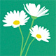 ����� ����� �� 31.01.2009. ������� International Garden Photographer of the Year 2009