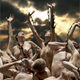 13.09.�11.11.2012. ������. ������� �����. �EverAfter�