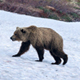 17.01.�10.02.2014. C.-���������. ������� ��������. ����� �����. ���������