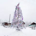 24.12.2015.�07.02.2016. ������������. ������� ���� �����