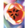VISIONAIRE 1/ �����,