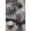 ����: ��������� ����