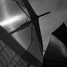 2015_Umbrellas_in_Museon_Park.jpg