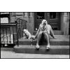����: Elliott Erwitt